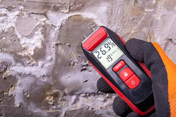 Best Same-Day Mold Removal  in Kiryas Joel, NY
