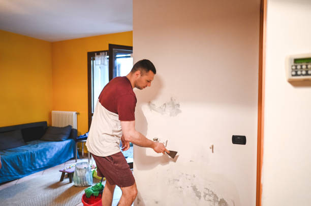 Best Affordable Mold Removal  in Kiryas Joel, NY